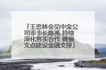 王忠林会见中金公司董事长陈亮 持续深化务实合作 做强支点建设金融支撑