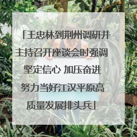 王忠林到荆州调研并主持召开座谈会时强调 坚定信心 加压奋进 努力当好江汉平原高质量发展排头兵