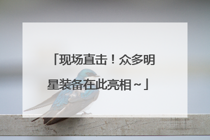 现场直击！众多明星装备在此亮相～