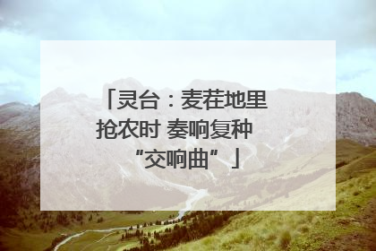 灵台：麦茬地里抢农时 奏响复种“交响曲”