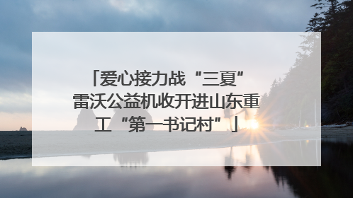 爱心接力战“三夏” 雷沃公益机收开进山东重工“第一书记村”