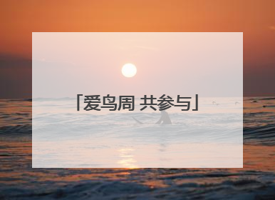 爱鸟周 共参与
