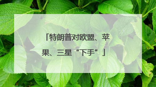 特朗普对欧盟、苹果、三星“下手”
