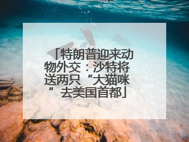 特朗普迎来动物外交：沙特将送两只“大猫咪”去美国首都