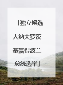 独立候选人纳夫罗茨基赢得波兰总统选举