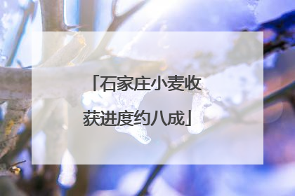 石家庄小麦收获进度约八成