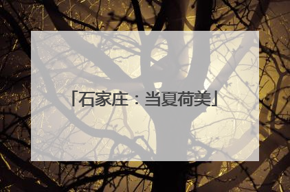 石家庄：当夏荷美