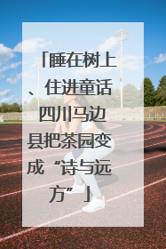 睡在树上、住进童话 四川马边县把茶园变成“诗与远方”