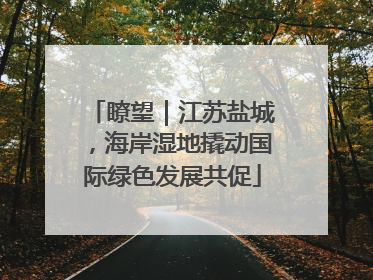 瞭望｜江苏盐城，海岸湿地撬动国际绿色发展共促