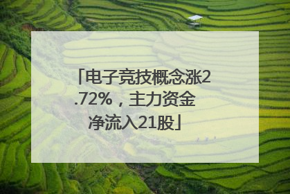 电子竞技概念涨2.72%，主力资金净流入21股