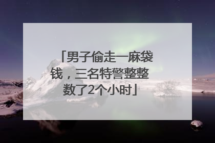 男子偷走一麻袋钱，三名特警整整数了2个小时