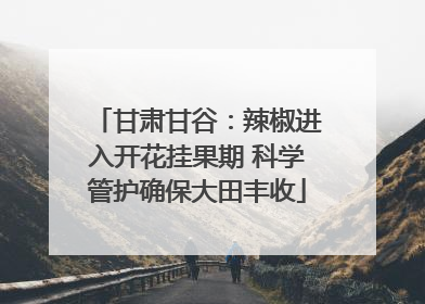 甘肃甘谷：辣椒进入开花挂果期 科学管护确保大田丰收