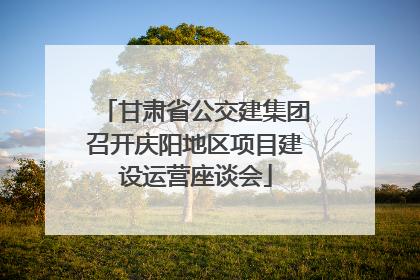 甘肃省公交建集团召开庆阳地区项目建设运营座谈会