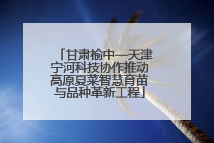 甘肃榆中—天津宁河科技协作推动高原夏菜智慧育苗与品种革新工程