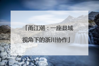 甬江潮：一座县域视角下的浙川协作