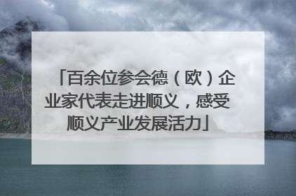 百余位参会德（欧）企业家代表走进顺义，感受顺义产业发展活力