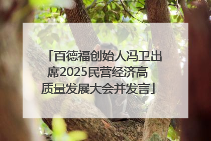 百德福创始人冯卫出席2025民营经济高质量发展大会并发言