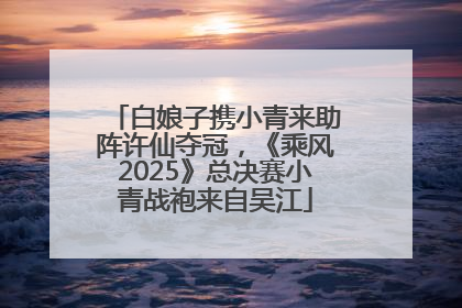 白娘子携小青来助阵许仙夺冠，《乘风2025》总决赛小青战袍来自吴江