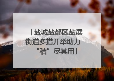 盐城盐都区盐渎街道多措并举助力“秸”尽其用