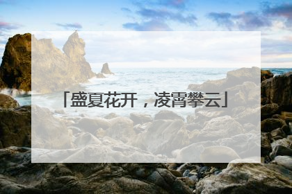 盛夏花开，凌霄攀云