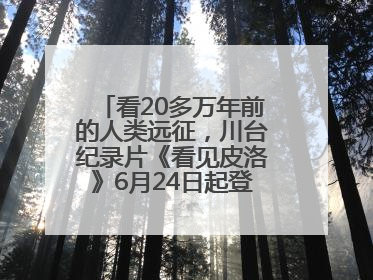 看20多万年前的人类远征，川台纪录片《看见皮洛》6月24日起登陆央视