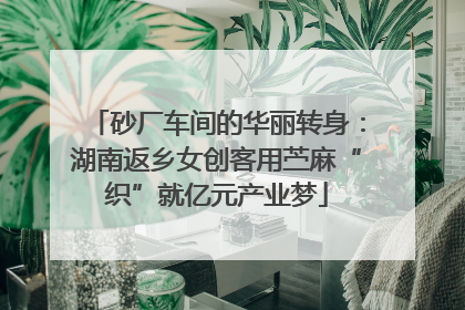 砂厂车间的华丽转身：湖南返乡女创客用苎麻“织”就亿元产业梦