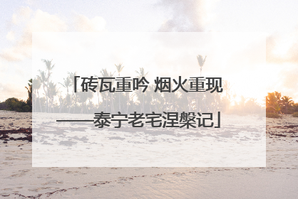 砖瓦重吟 烟火重现——泰宁老宅涅槃记