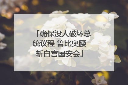 确保没人破坏总统议程 鲁比奥腰斩白宫国安会