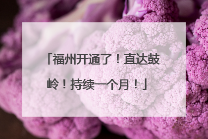 福州开通了！直达鼓岭！持续一个月！