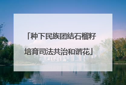 种下民族团结石榴籽 培育司法共治和谐花
