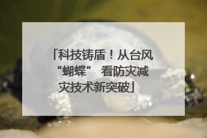 科技铸盾！从台风“蝴蝶” 看防灾减灾技术新突破