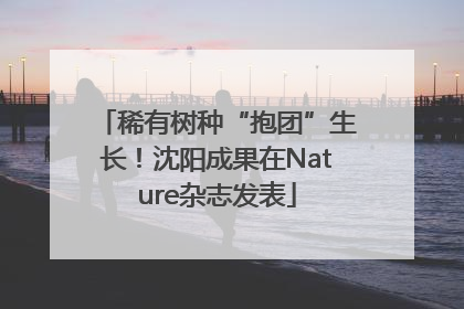 稀有树种“抱团”生长！沈阳成果在Nature杂志发表