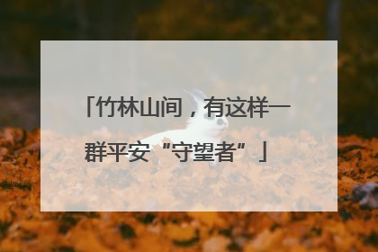 竹林山间，有这样一群平安“守望者”