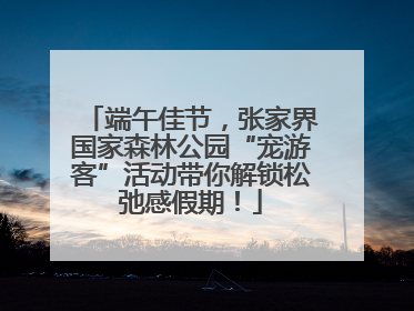 端午佳节，张家界国家森林公园“宠游客”活动带你解锁松弛感假期！