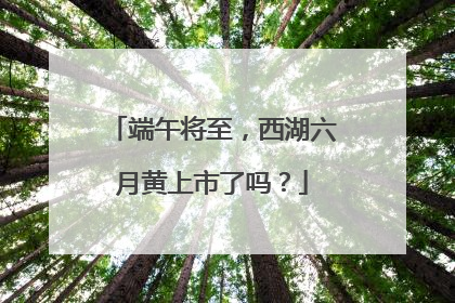 端午将至，西湖六月黄上市了吗？