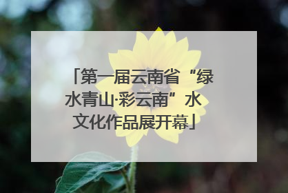第一届云南省“绿水青山·彩云南”水文化作品展开幕