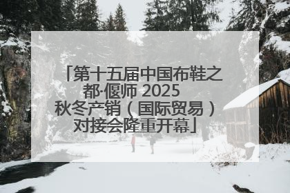 第十五届中国布鞋之都·偃师 2025 秋冬产销（国际贸易）对接会隆重开幕
