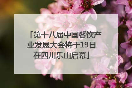 第十八届中国餐饮产业发展大会将于19日在四川乐山启幕