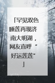 罕见双色睡莲再现济南大明湖，网友直呼“好运莲莲”