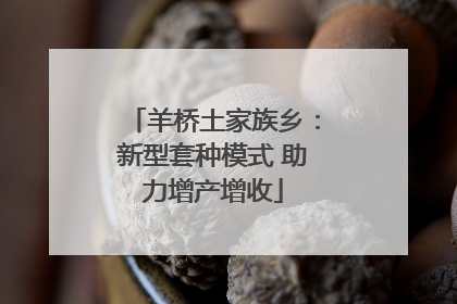 羊桥土家族乡：新型套种模式 助力增产增收
