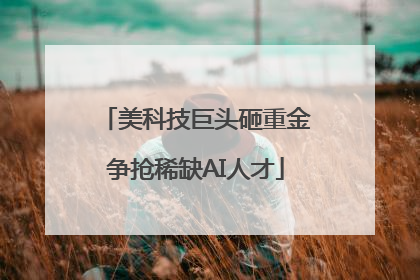 美科技巨头砸重金争抢稀缺AI人才