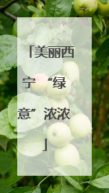 美丽西宁 “绿意”浓浓