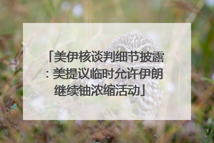 美伊核谈判细节披露：美提议临时允许伊朗继续铀浓缩活动
