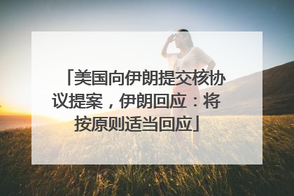 美国向伊朗提交核协议提案，伊朗回应：将按原则适当回应