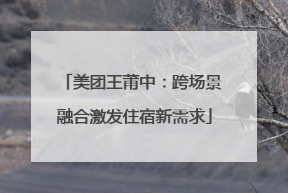 美团王莆中：跨场景融合激发住宿新需求