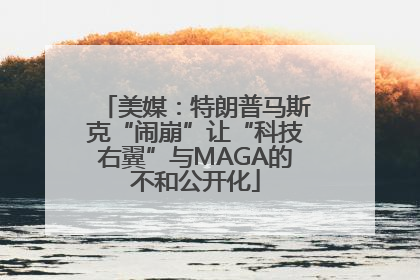 美媒：特朗普马斯克“闹崩”让“科技右翼”与MAGA的不和公开化