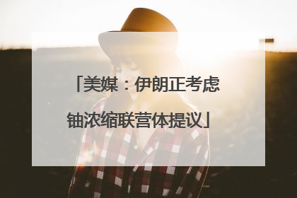 美媒：伊朗正考虑铀浓缩联营体提议