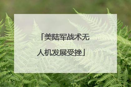 美陆军战术无人机发展受挫