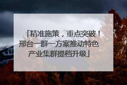 精准施策，重点突破！邢台一群一方案推动特色产业集群提档升级