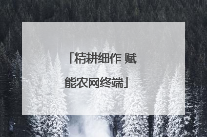 精耕细作 赋能农网终端